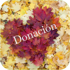 Donacion