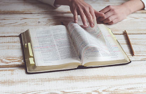 bible study